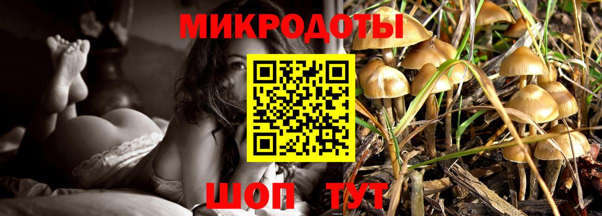 Псилоцибиновые грибы ЛСД Будённовск
