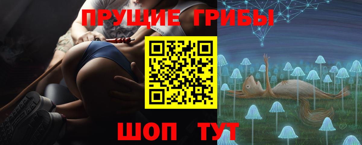 Псилоцибиновые грибы Psilocybine cubensis  Вход с VPN  Будённовск 